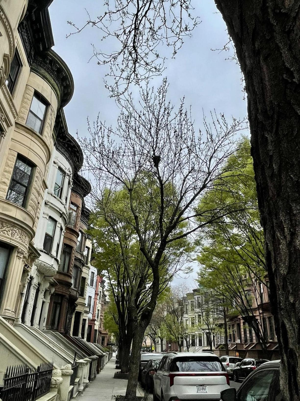 Nyc 타운하우스 아파트먼트 뉴욕 외부 사진