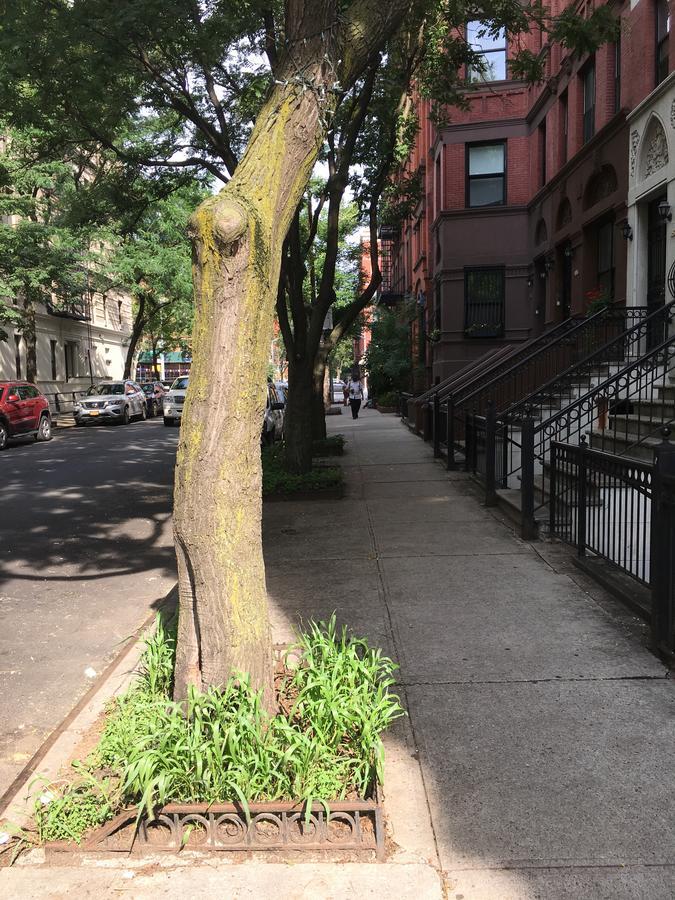 Nyc 타운하우스 아파트먼트 뉴욕 외부 사진